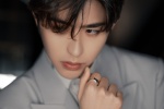 Cai Xukun handsome photo pictures in cold gray suit