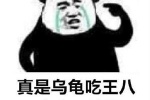 熊猫头真是乌龟吃王八六亲不认了表情包