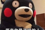 The latest version of Kumamon WeChat emoticon package pictures