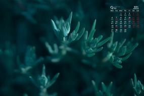 September 2021 green plant computer calendar wallpaper