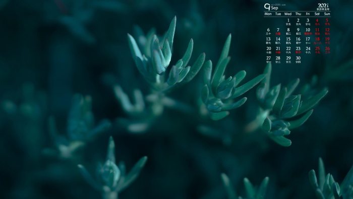 2021年9月翠綠色植物電腦日曆壁紙