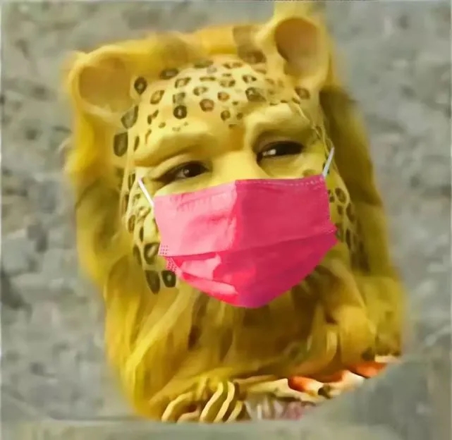 金钱豹带戴口罩头像图片