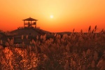 Wetland Park Morning Scenery Picture Desktop Wallpaper