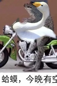 小蛤蟆今晚有空吗系列表情包