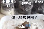 EDG被你已经被包围了表情包