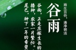 Solar terms Grain Rain pictures HD Grain Rain material pictures