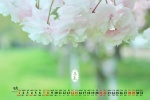 May 2022 Beginning of Summer Desktop Calendar Wallpaper