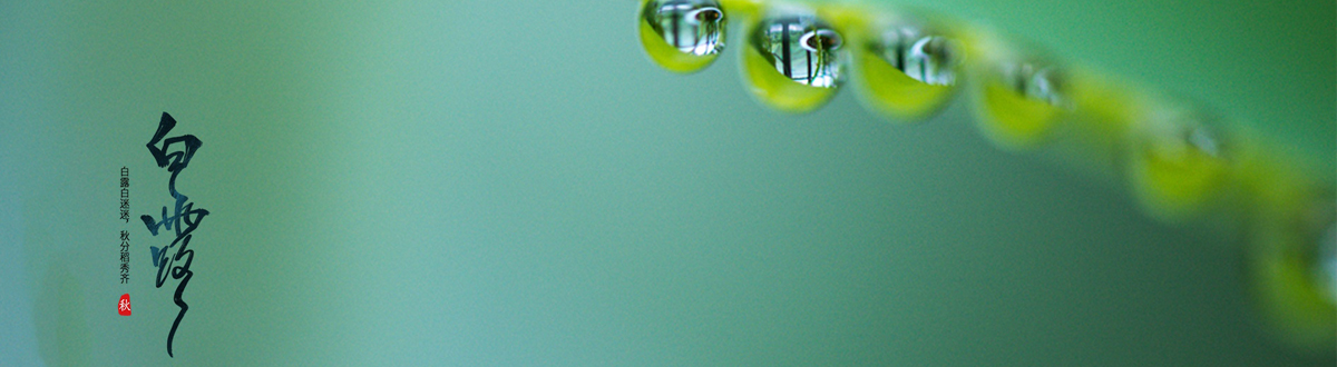 Bailu desktop wallpaper