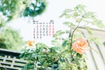 June 2021 green eye protection landscape desktop calendar wallpaper