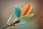 April 2022 fresh eye-protecting green leaves calendar wallpaper
