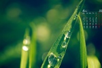 April 2022 green fresh desktop calendar wallpaper