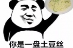 你是一盘土豆丝又土又逗又屌丝