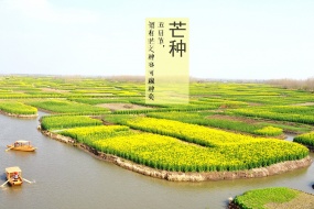 芒种时节高清桌面壁纸图片