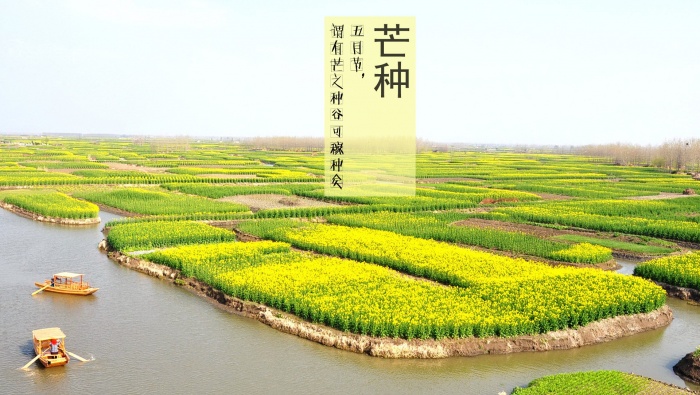 芒种时节高清桌面壁纸图片