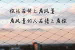 你站在桥上看风景，看风景的人在楼上看你