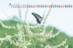 Eye protection natural scenery calendar wallpaper for March 2022