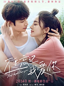 《不要忘记我爱你》