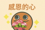 感恩的心