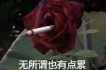 无所谓也有点累 我是午夜伤心的玫瑰