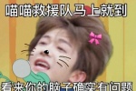 喵喵救援队马上就到看你的脑子确实有问题