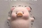 Collection of cute pig related emoticons