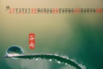 2020年5月穀雨清新綠色護眼日曆壁紙