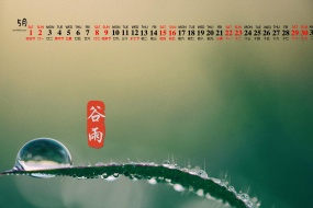 May 2020 Guyu fresh green eye protection calendar wallpaper