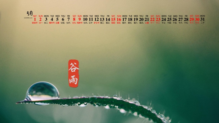 May 2020 Guyu fresh green eye protection calendar wallpaper