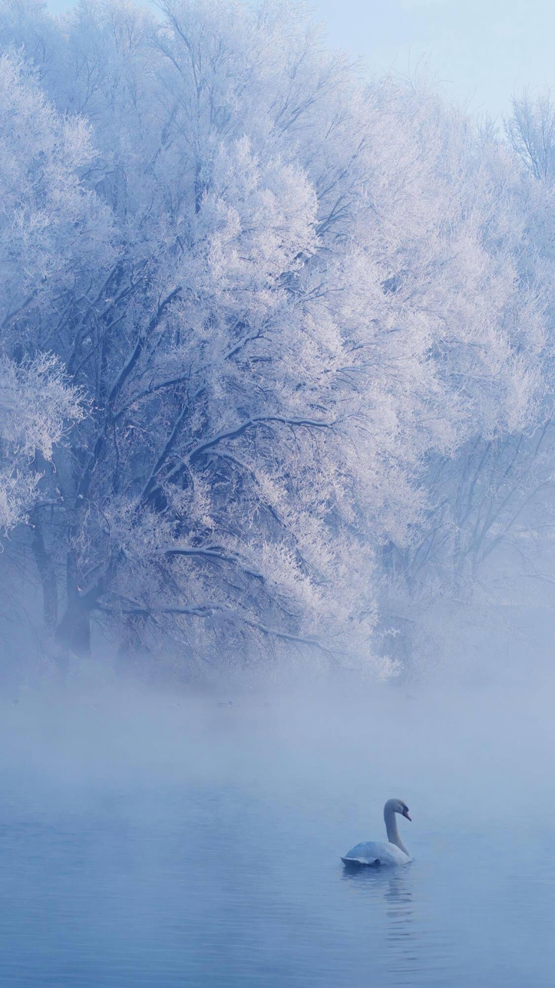 唯美的初雪景色高清手机壁纸 冬季雪景手机壁纸 三千图片网