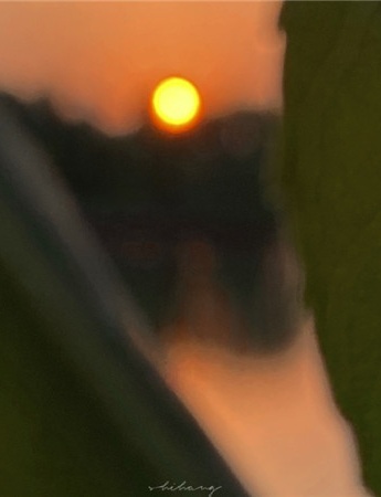 超級溫柔又好看的日落背景圖片