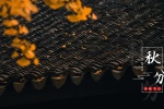 秋分節氣之園林風景唯美攝影圖片壁紙