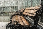 Sad pictures of rainy days
