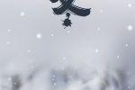 Solar term Beginning of Winter mobile phone wallpaper picture
