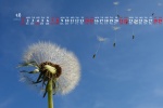 May 2022 Dandelion Desktop Calendar Wallpaper