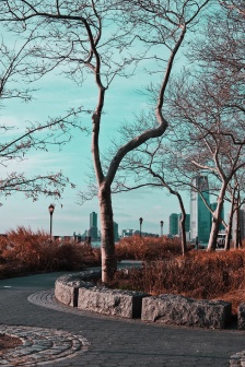 唯美生活隨景攝影手機壁紙