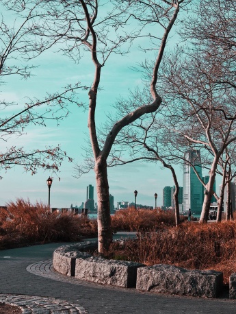 唯美生活隨景攝影手機壁紙