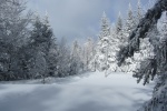 Beautiful winter snow desktop wallpaper
