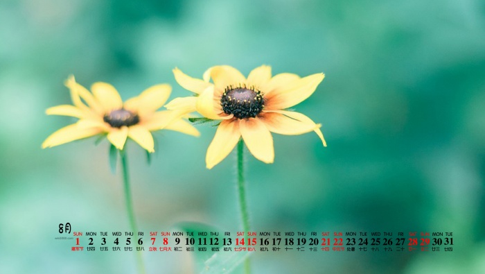 August 2021 emerald green plants HD calendar wallpaper