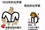 Summary of emoticons comparing two dogs