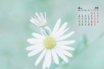 Simple and fresh desktop calendar wallpaper for April 2022