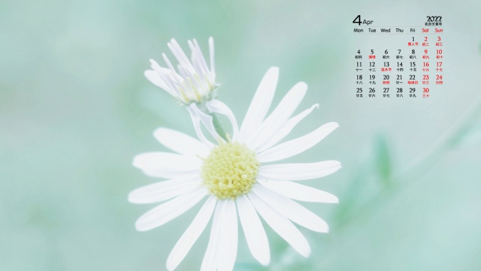 Simple and fresh desktop calendar wallpaper for April 2022
