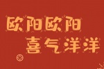 欧阳欧阳喜气洋洋