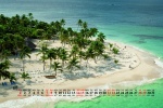 August 2021 island coconut tree desktop calendar wallpaper