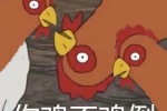 你鸡不鸡倒