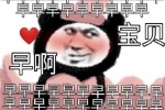 熊猫头满屏早啊宝贝表情包