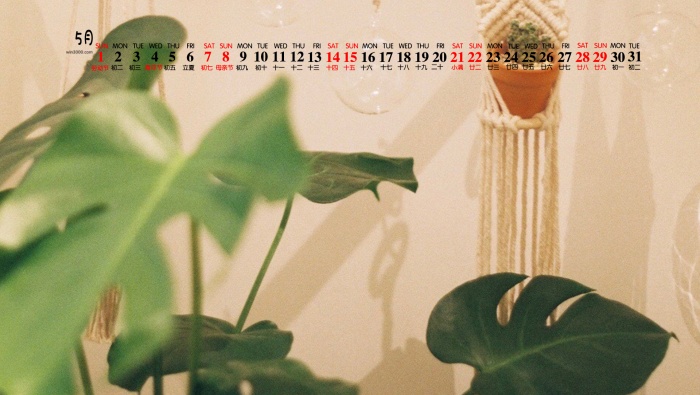 2022年5月小清新日历壁纸