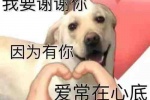 我要谢谢你 因为有你 爱常在心底