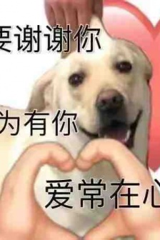 Thank you series of emoticons