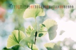 April 2021 small fresh green floral desktop calendar wallpaper
