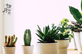 Hello July beautiful pictures desktop computer wallpaper